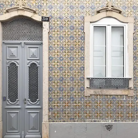 Yellow Barqueta 法鲁区