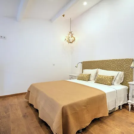 Yellow Barqueta * 파로